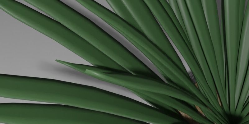 Low poly grass plant Low-poly 3D model_5