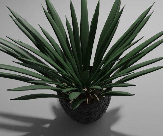 Low poly grass plant Low-poly 3D model_8