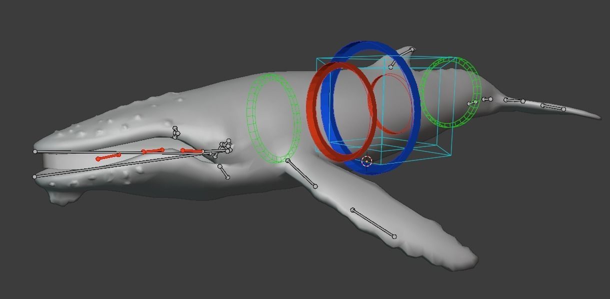 Humbpack Whale Animated Low-poly 3D model_19