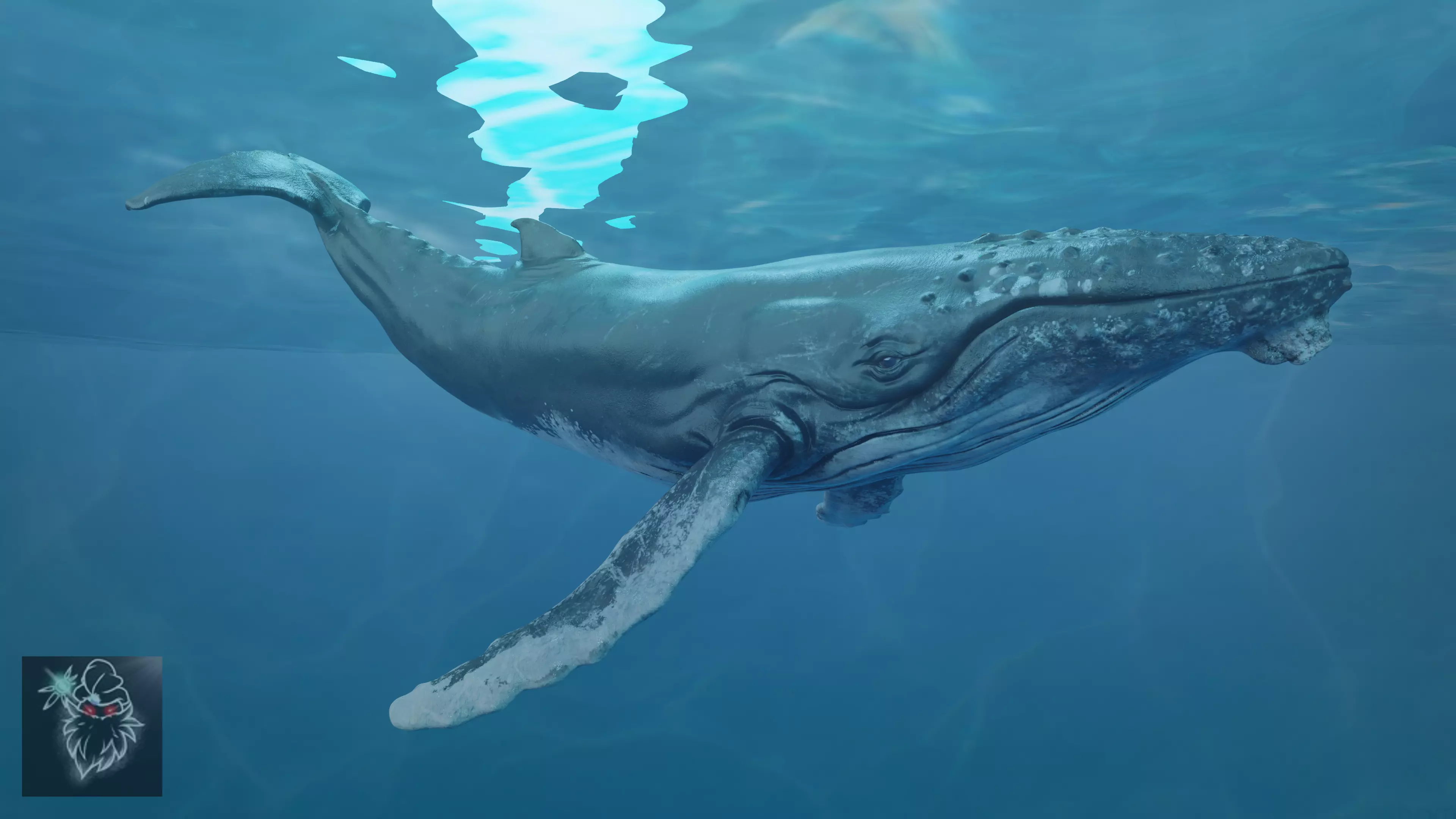 Humbpack Whale Animated Low-poly 3D model_0