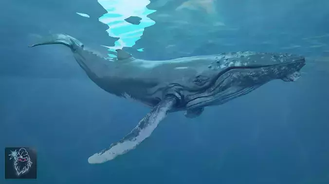 Humbpack Whale Animated Low-poly 3D model
