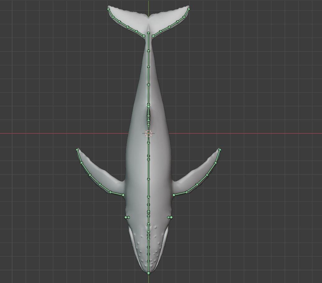 Humbpack Whale Animated Low-poly 3D model_20