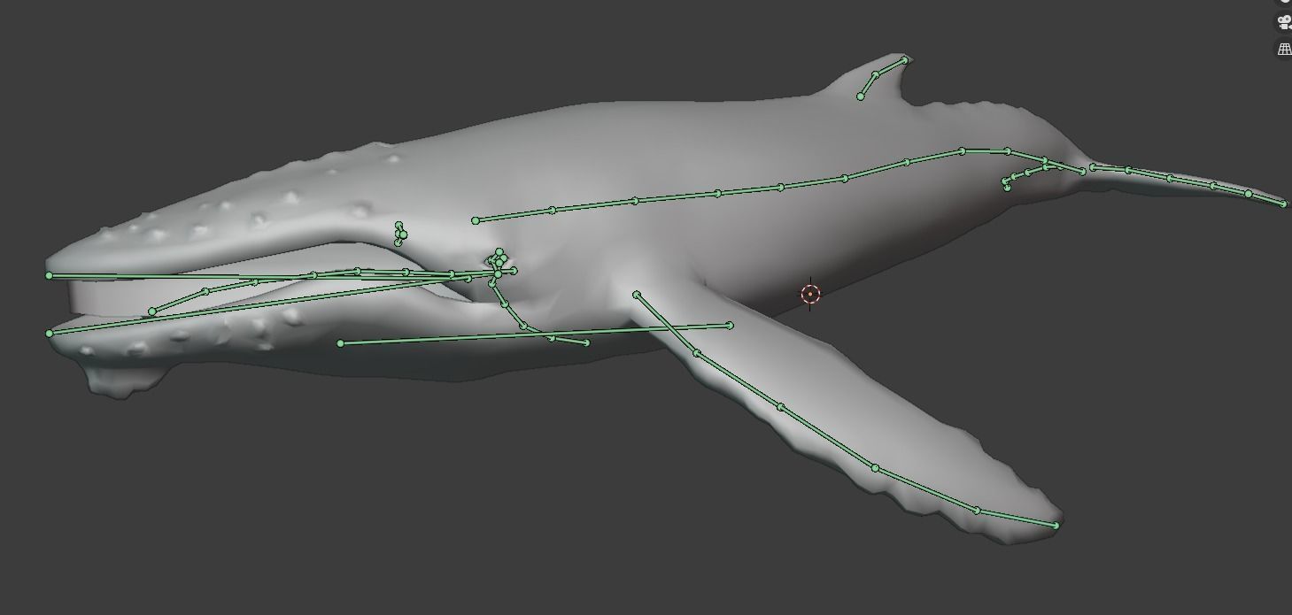 Humbpack Whale Animated Low-poly 3D model_21