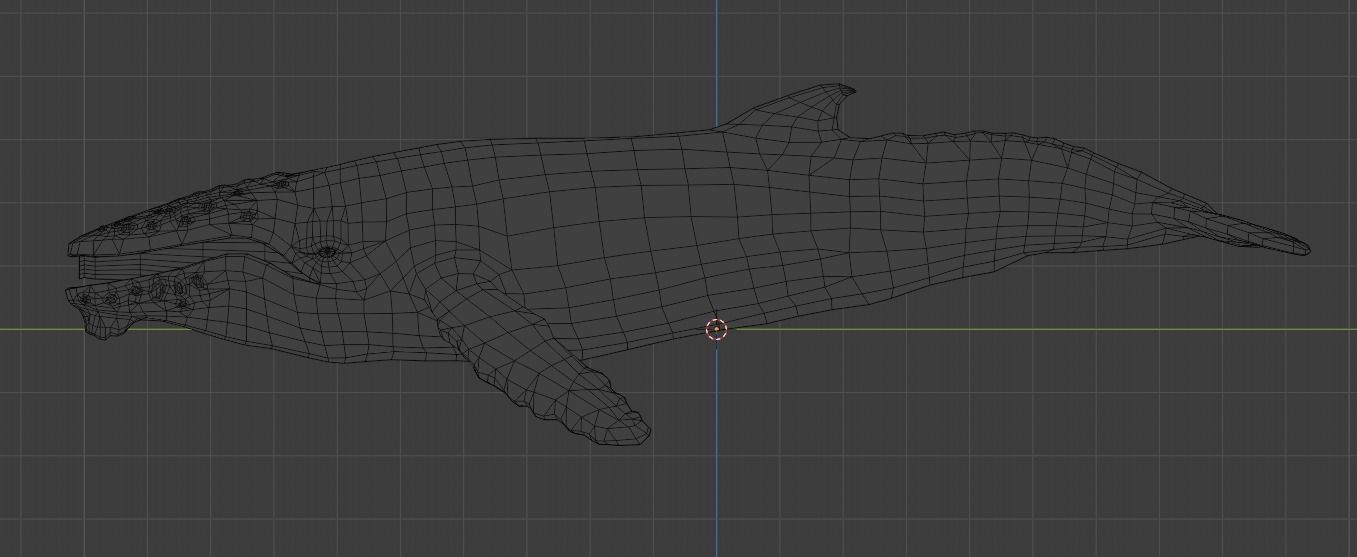 Humbpack Whale Animated Low-poly 3D model_17