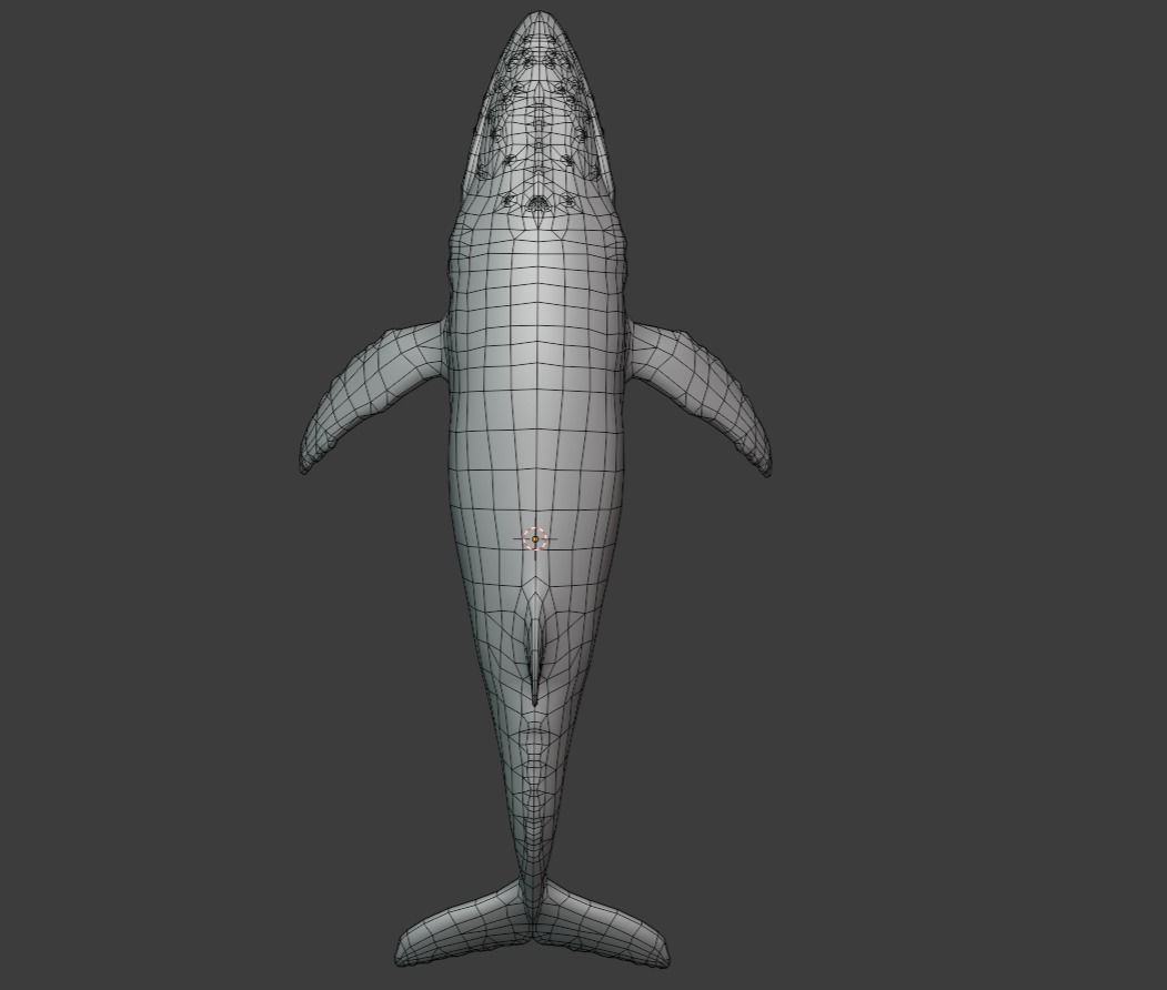 Humbpack Whale Animated Low-poly 3D model_15