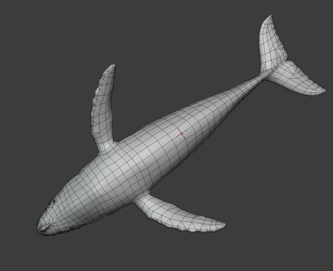 Humbpack Whale Animated Low-poly 3D model_16
