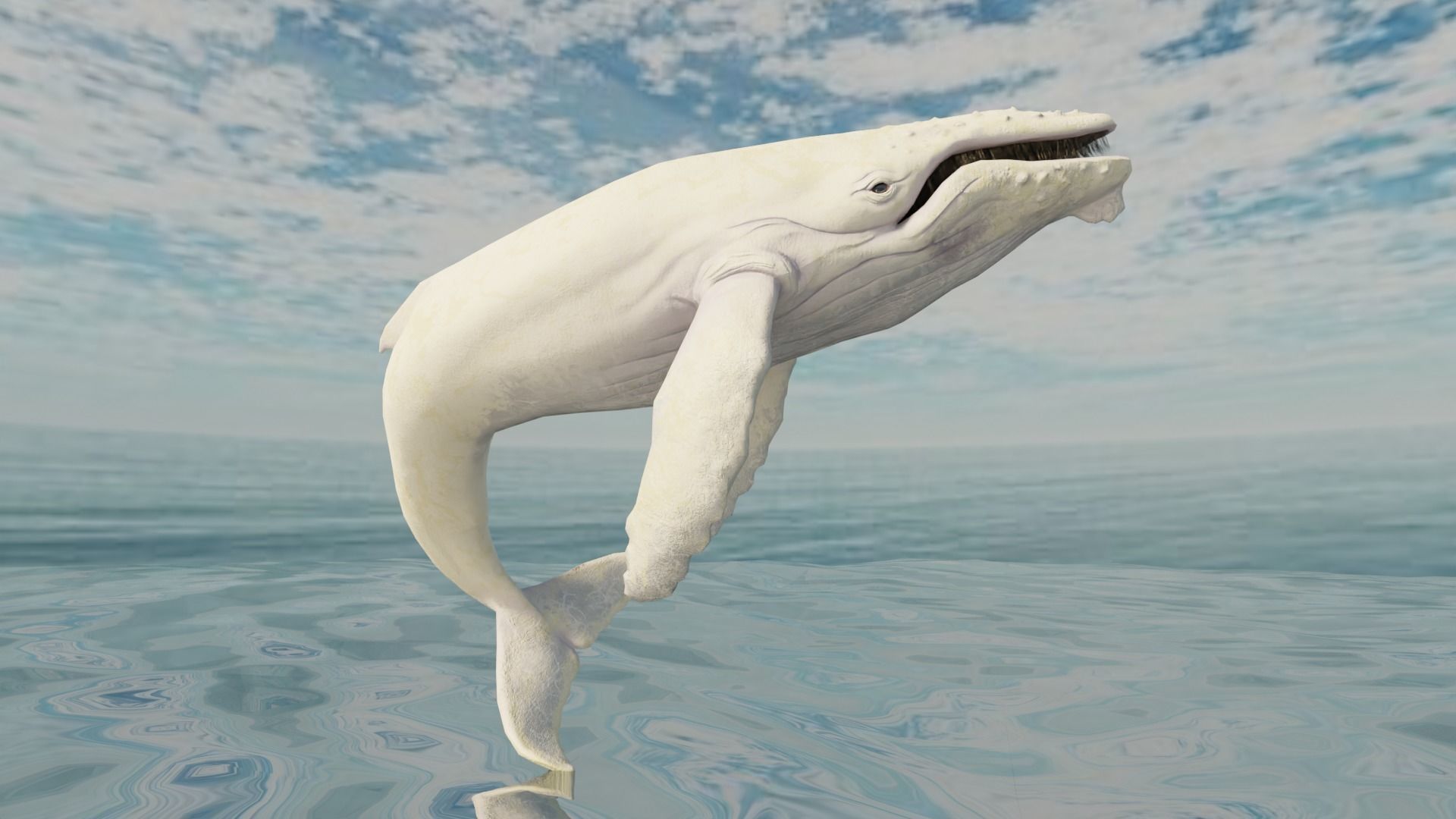 Humbpack Whale Animated Low-poly 3D model_13