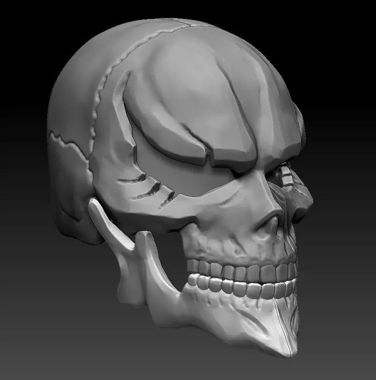Ains skull 3D print model