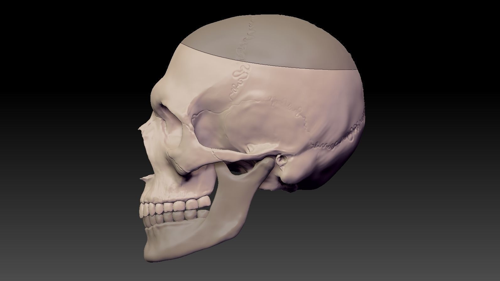 Skull 3d Print model human 3D print model_7