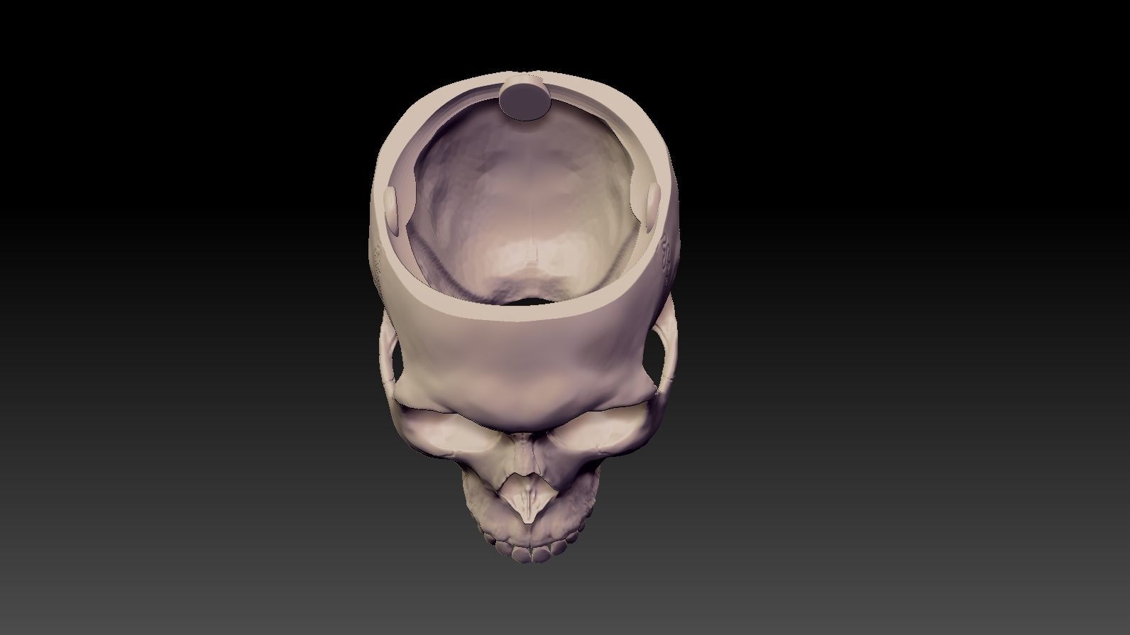 Skull 3d Print model human 3D print model_21