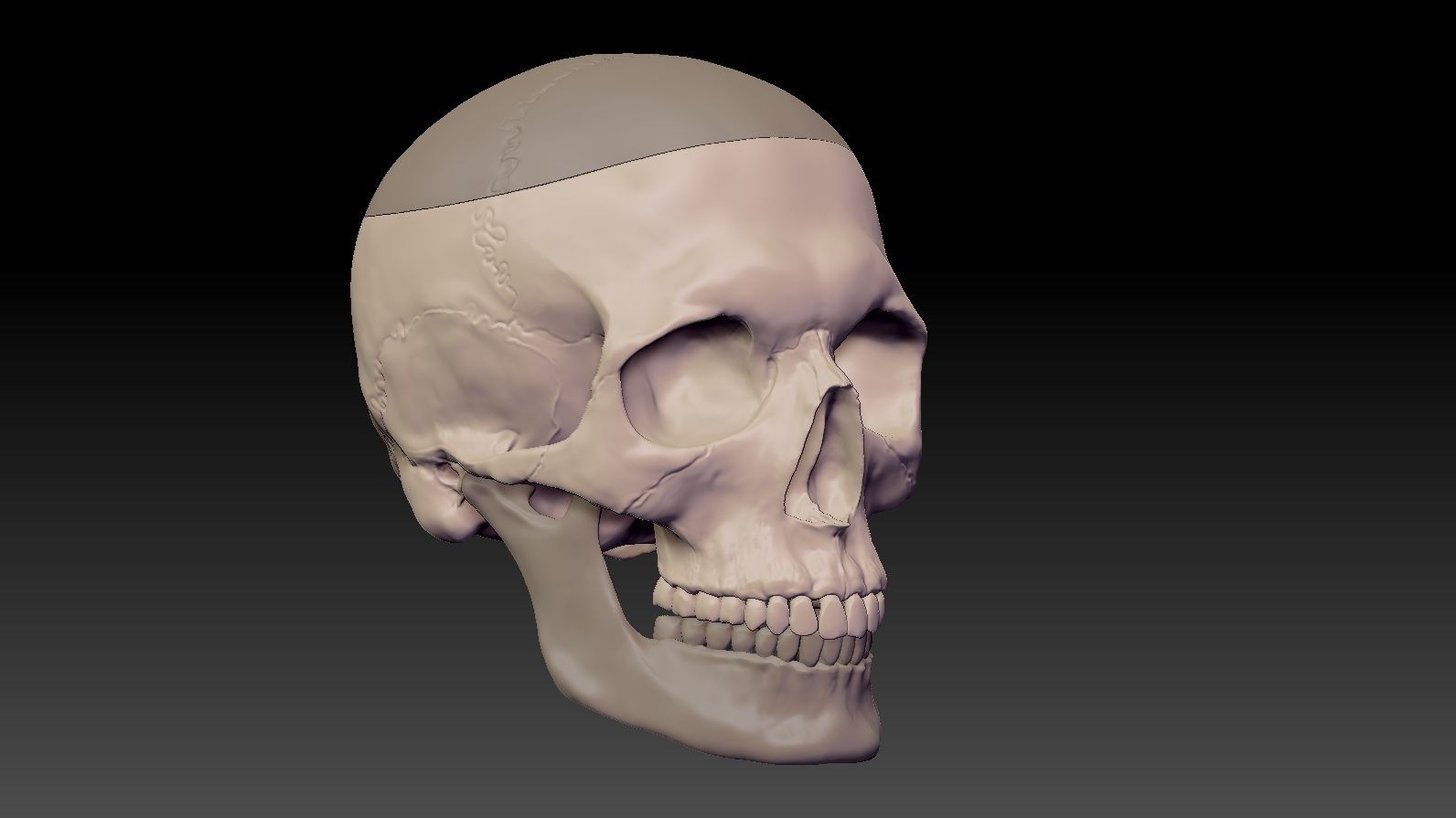 Skull 3d Print model human 3D print model_33