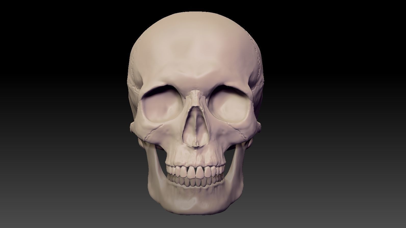 Skull 3d Print model human 3D print model_1