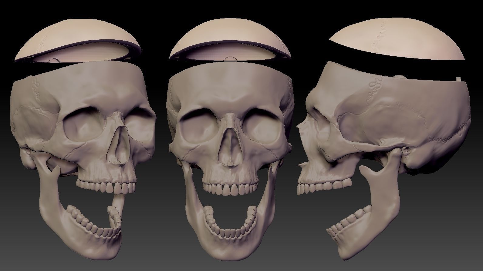 Skull 3d Print model human 3D print model_29