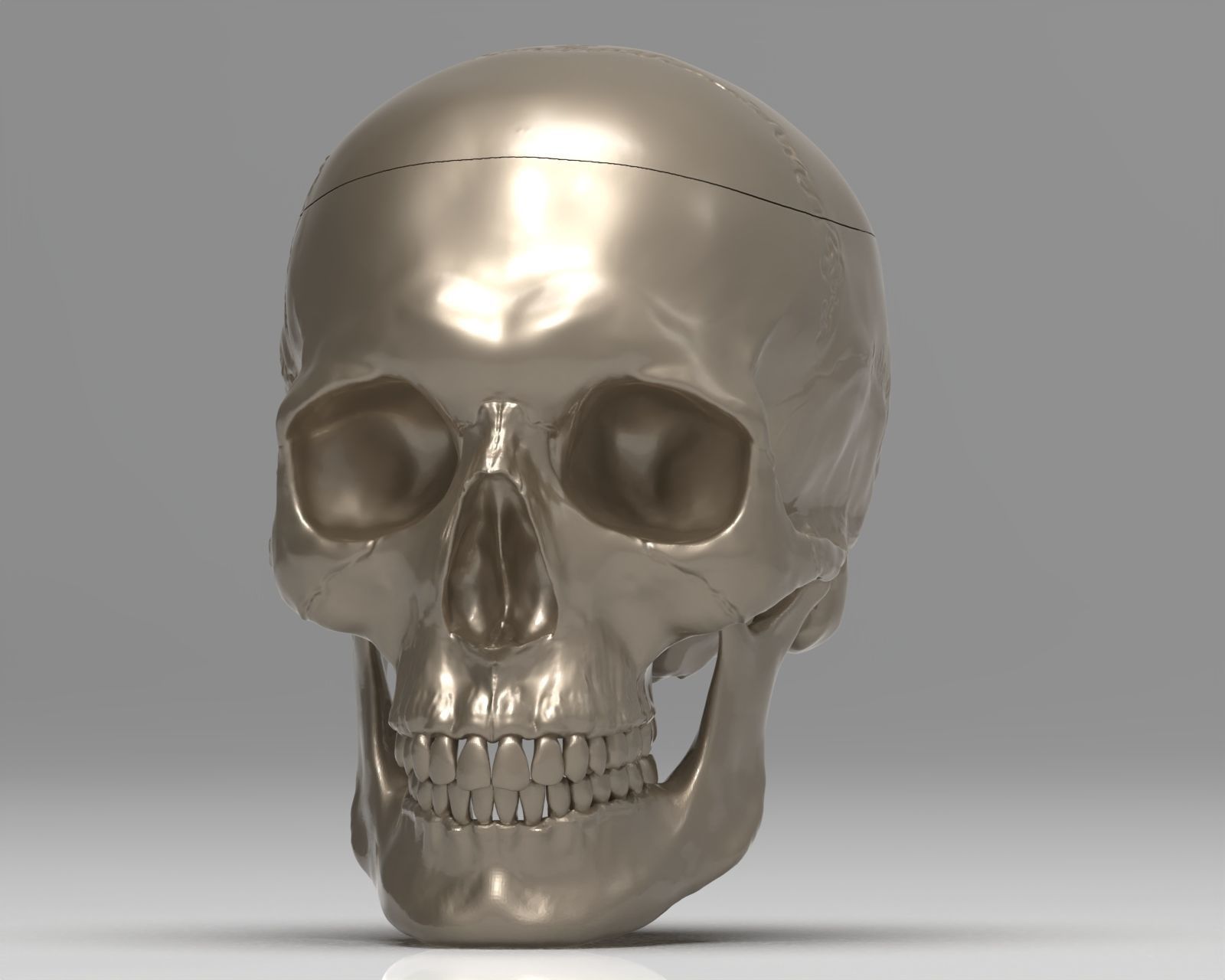 Skull 3d Print model human 3D print model_35