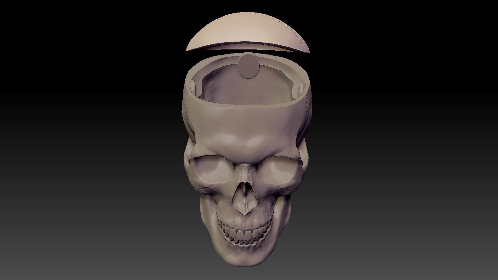 Skull 3d Print model human 3D print model_18