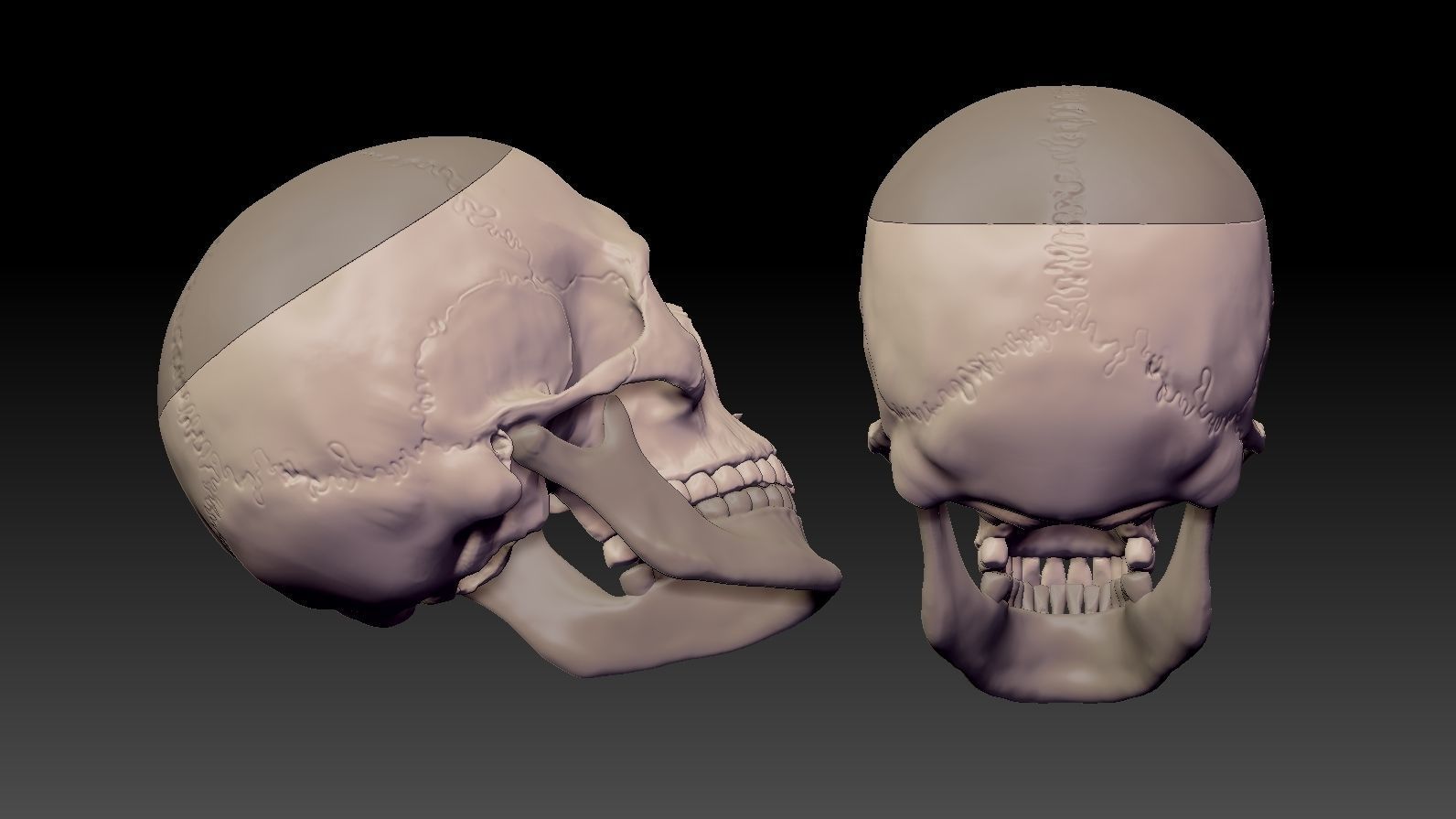Skull 3d Print model human 3D print model_30