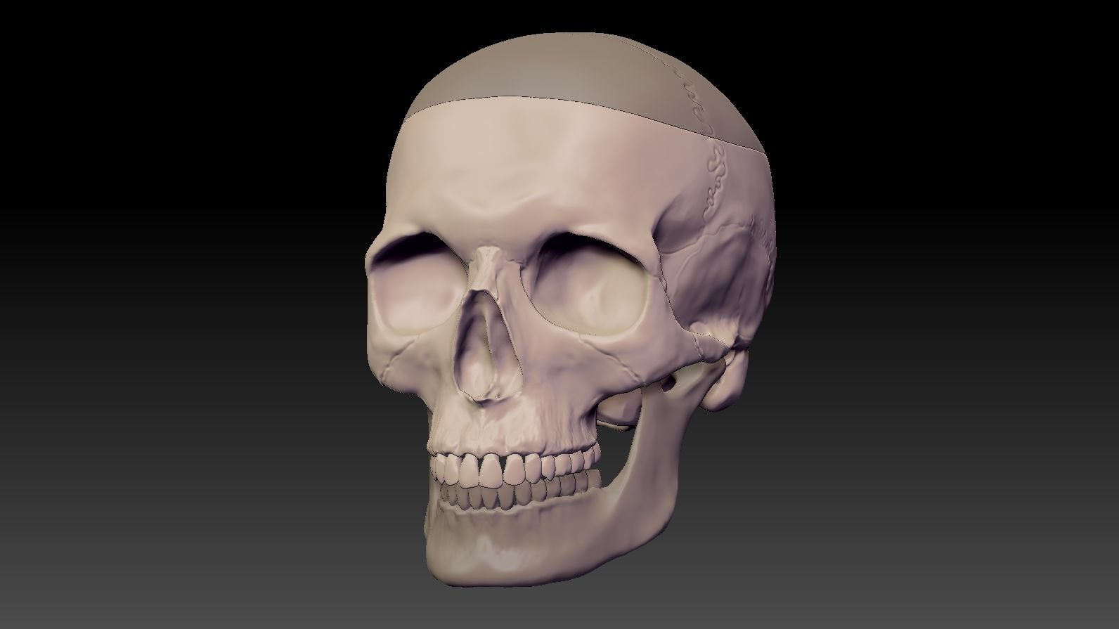Skull 3d Print model human 3D print model_4