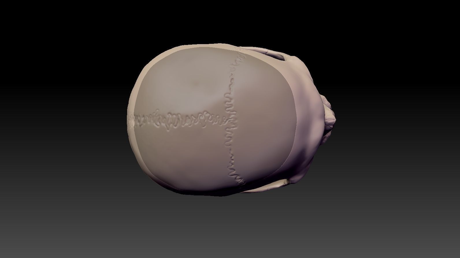 Skull 3d Print model human 3D print model_16