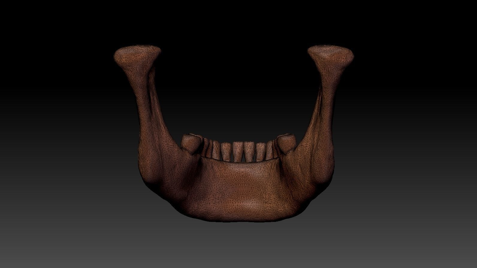 Skull 3d Print model human 3D print model_27