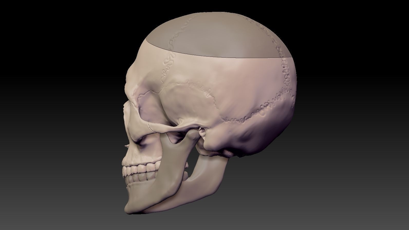 Skull 3d Print model human 3D print model_8