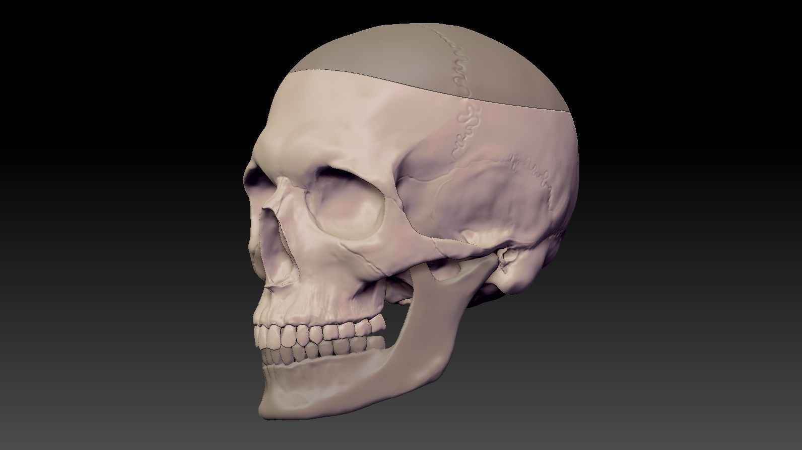 Skull 3d Print model human 3D print model_6