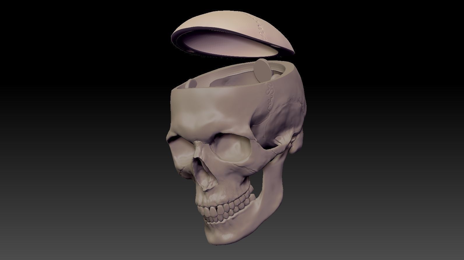 Skull 3d Print model human 3D print model_19