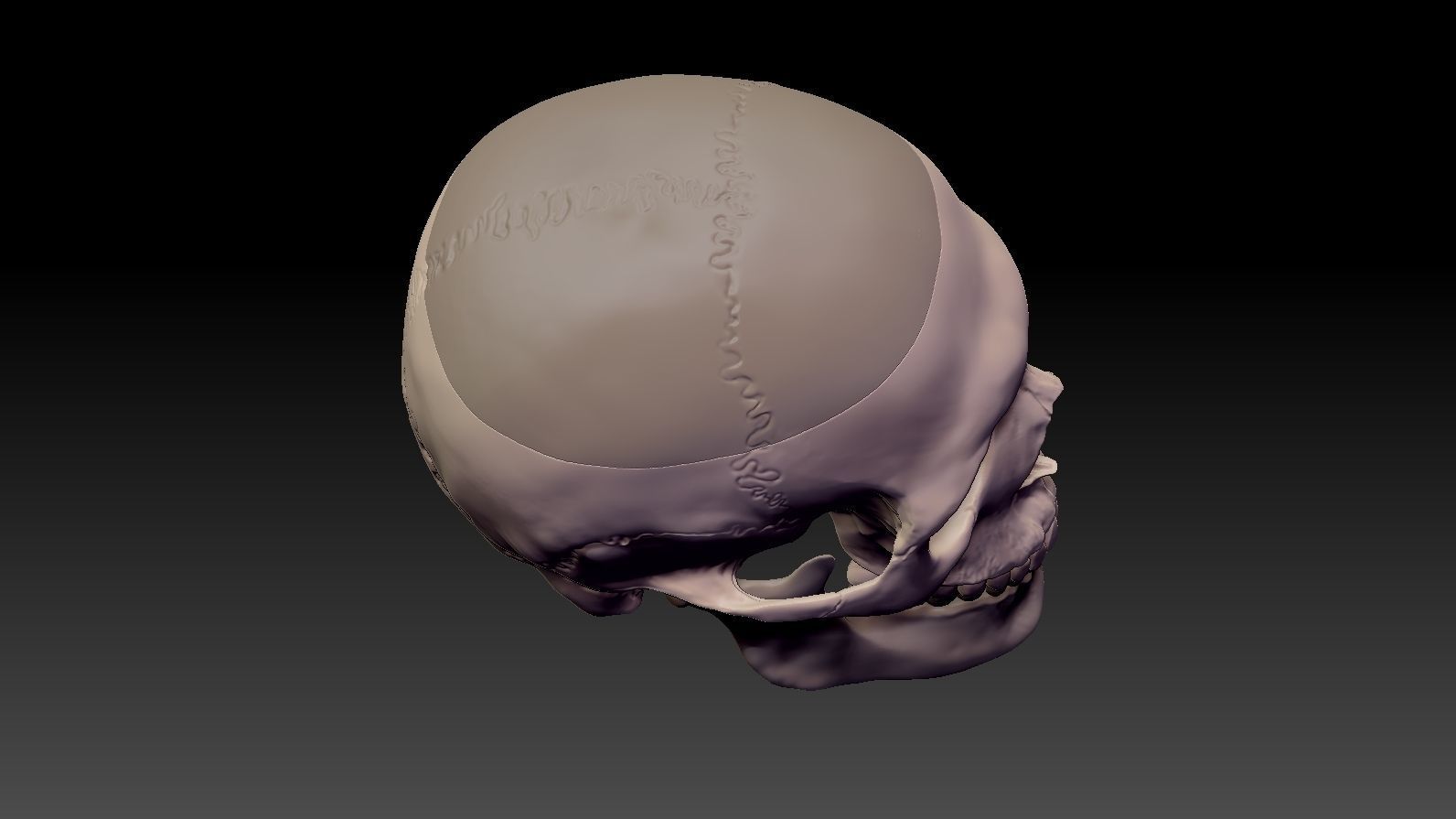 Skull 3d Print model human 3D print model_15