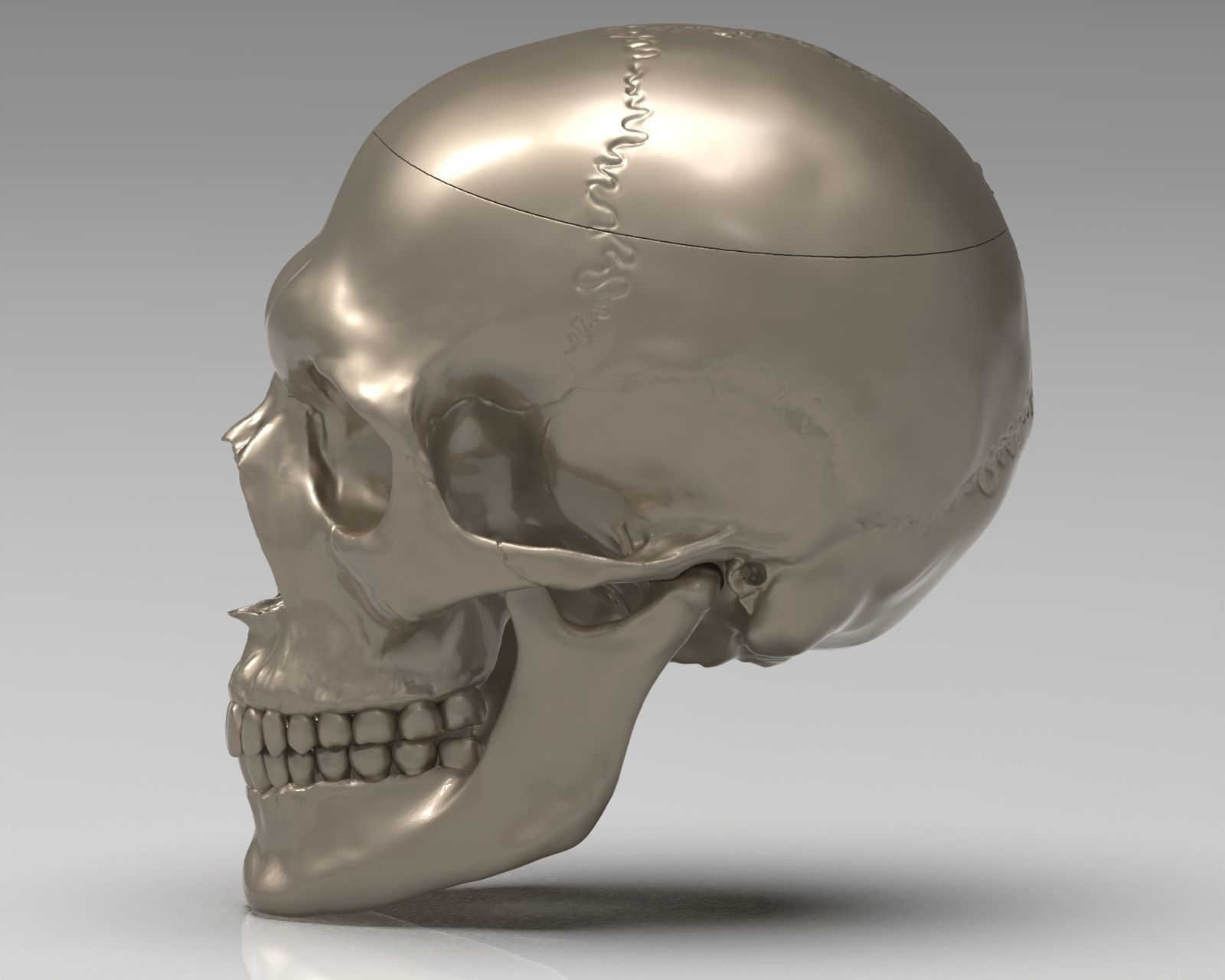 Skull 3d Print model human 3D print model_38