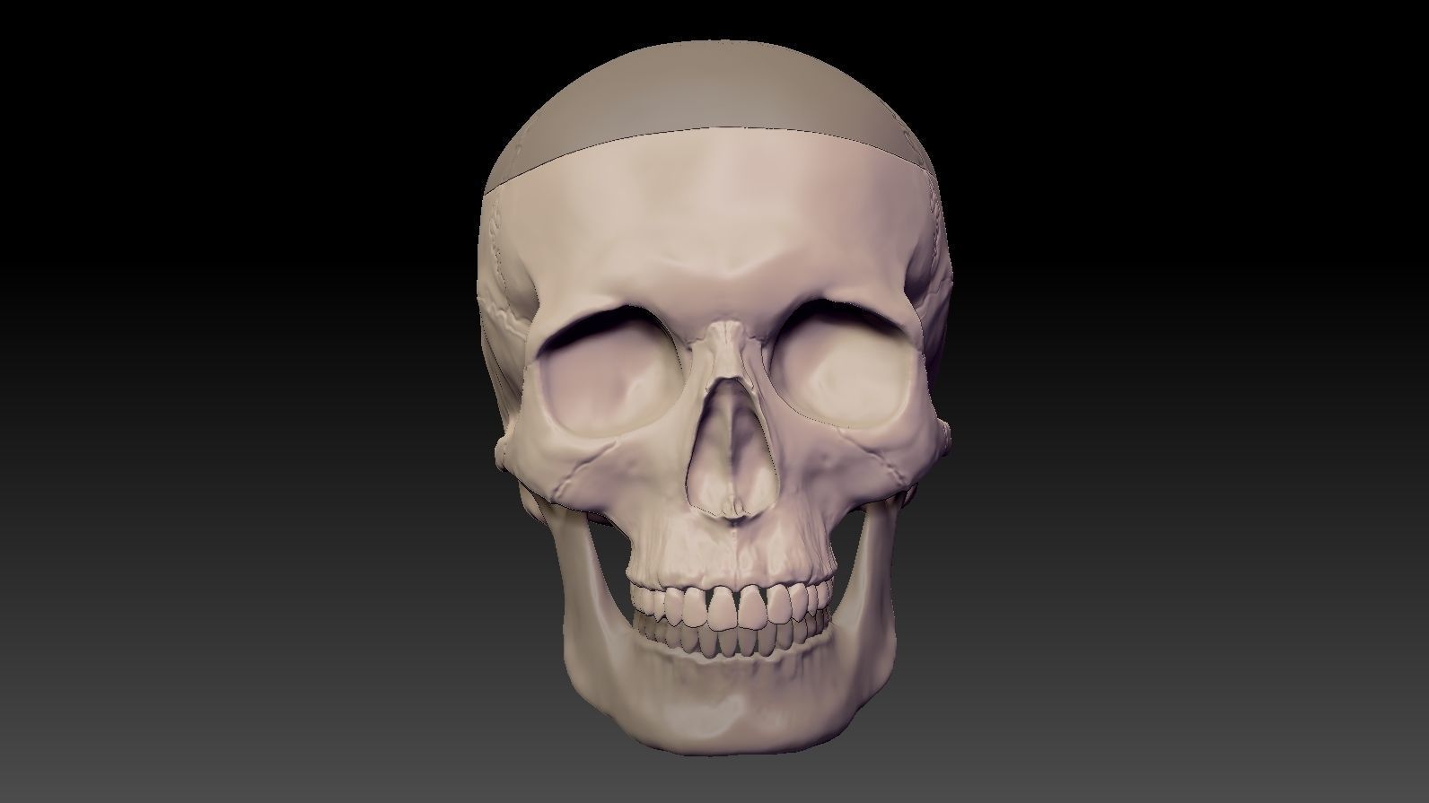 Skull 3d Print model human 3D print model_3