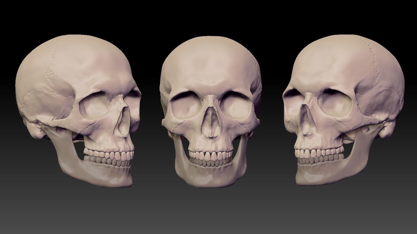 Skull 3d Print model human 3D print model_2