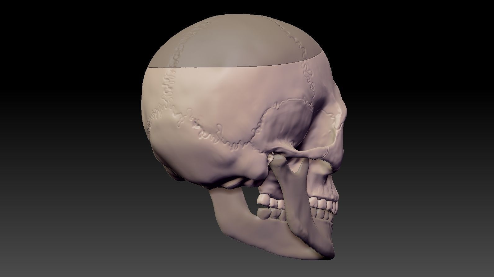 Skull 3d Print model human 3D print model_11