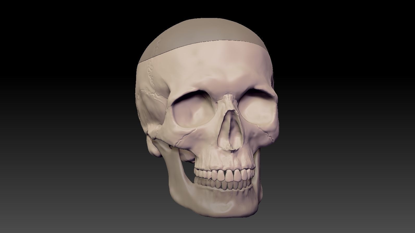 Skull 3d Print model human 3D print model_34