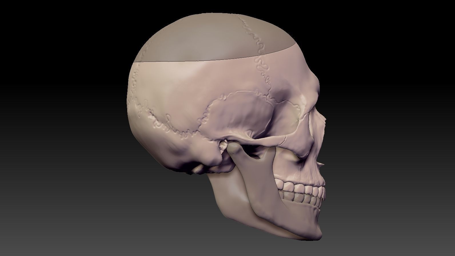 Skull 3d Print model human 3D print model_12