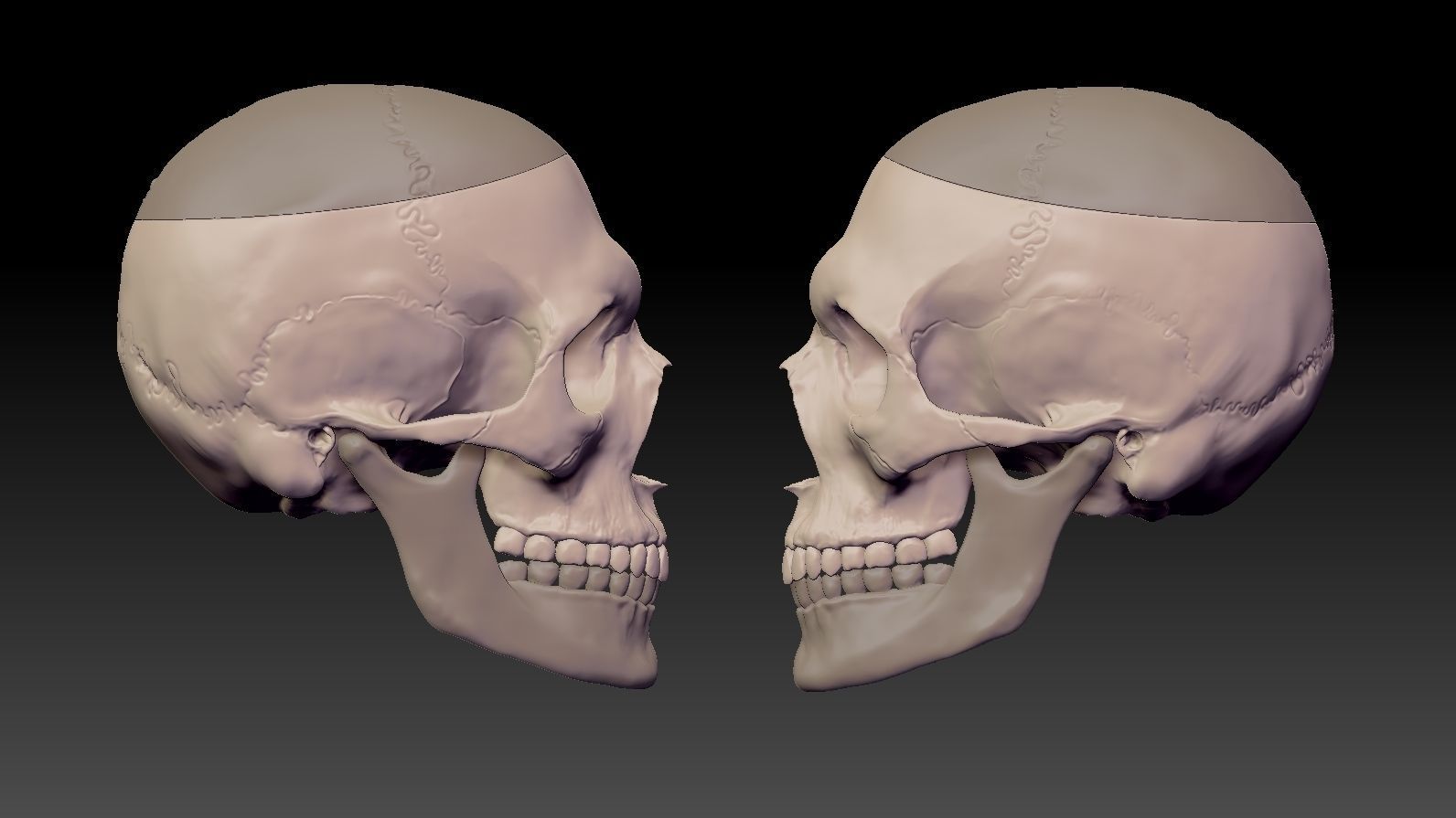 Skull 3d Print model human 3D print model_13