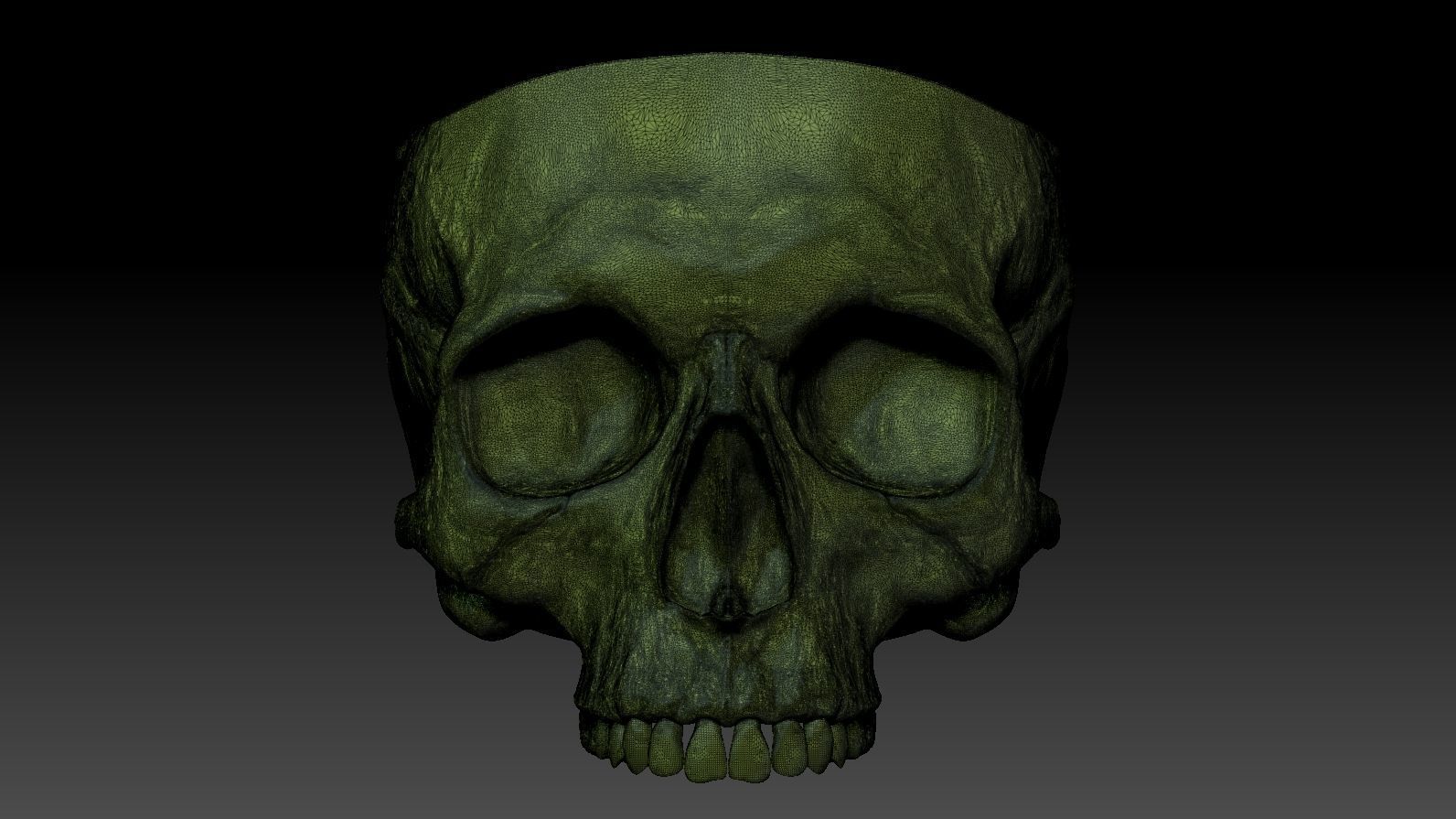 Skull 3d Print model human 3D print model_22