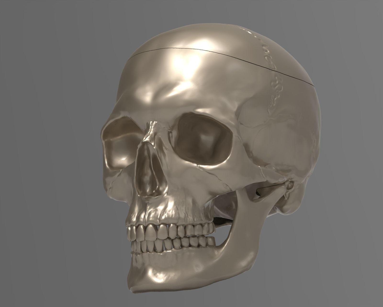 Skull 3d Print model human 3D print model_37