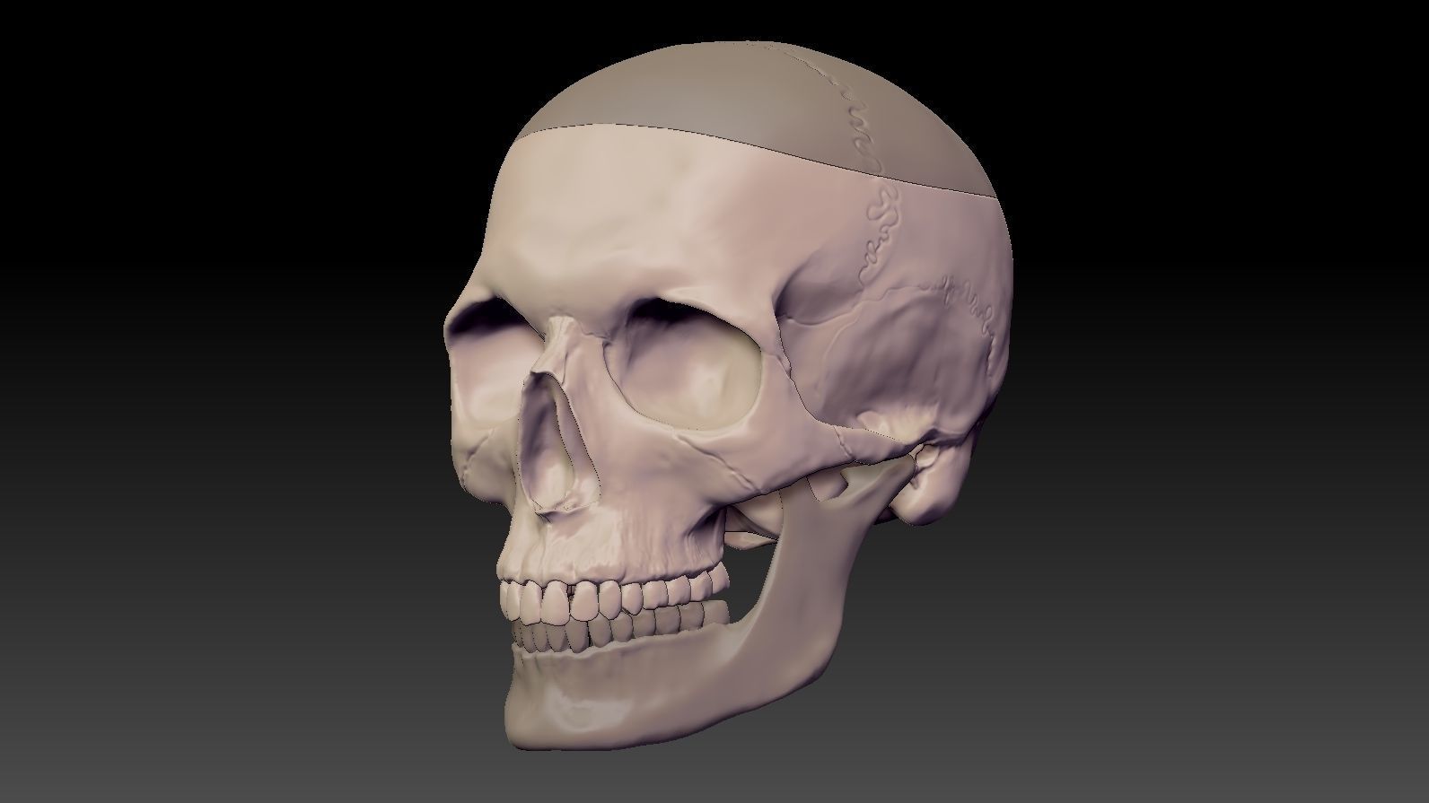 Skull 3d Print model human 3D print model_5