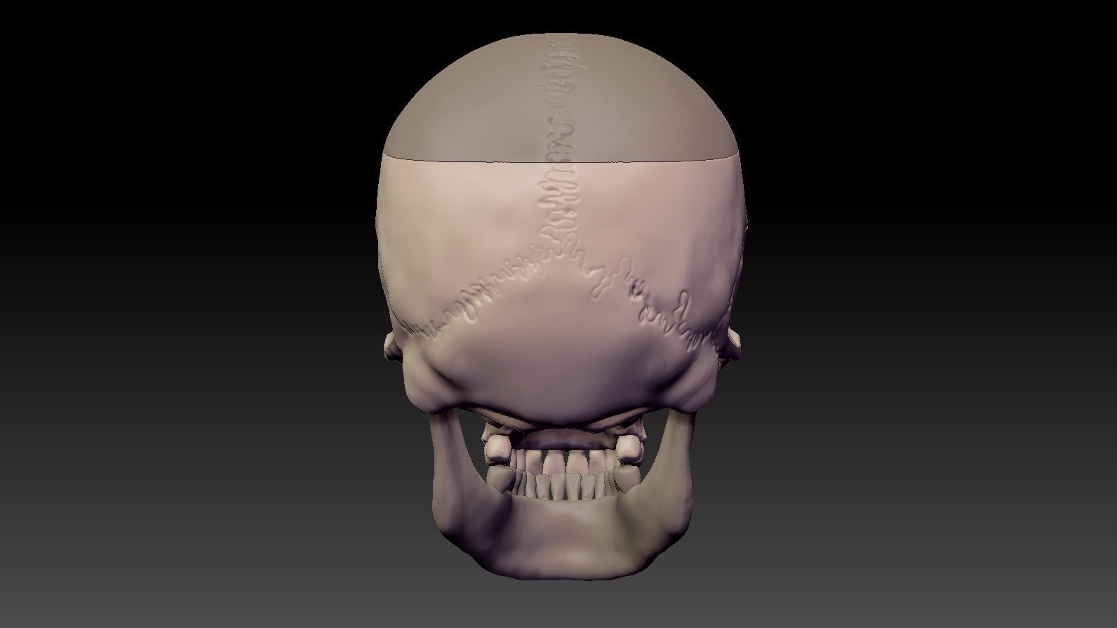 Skull 3d Print model human 3D print model_10