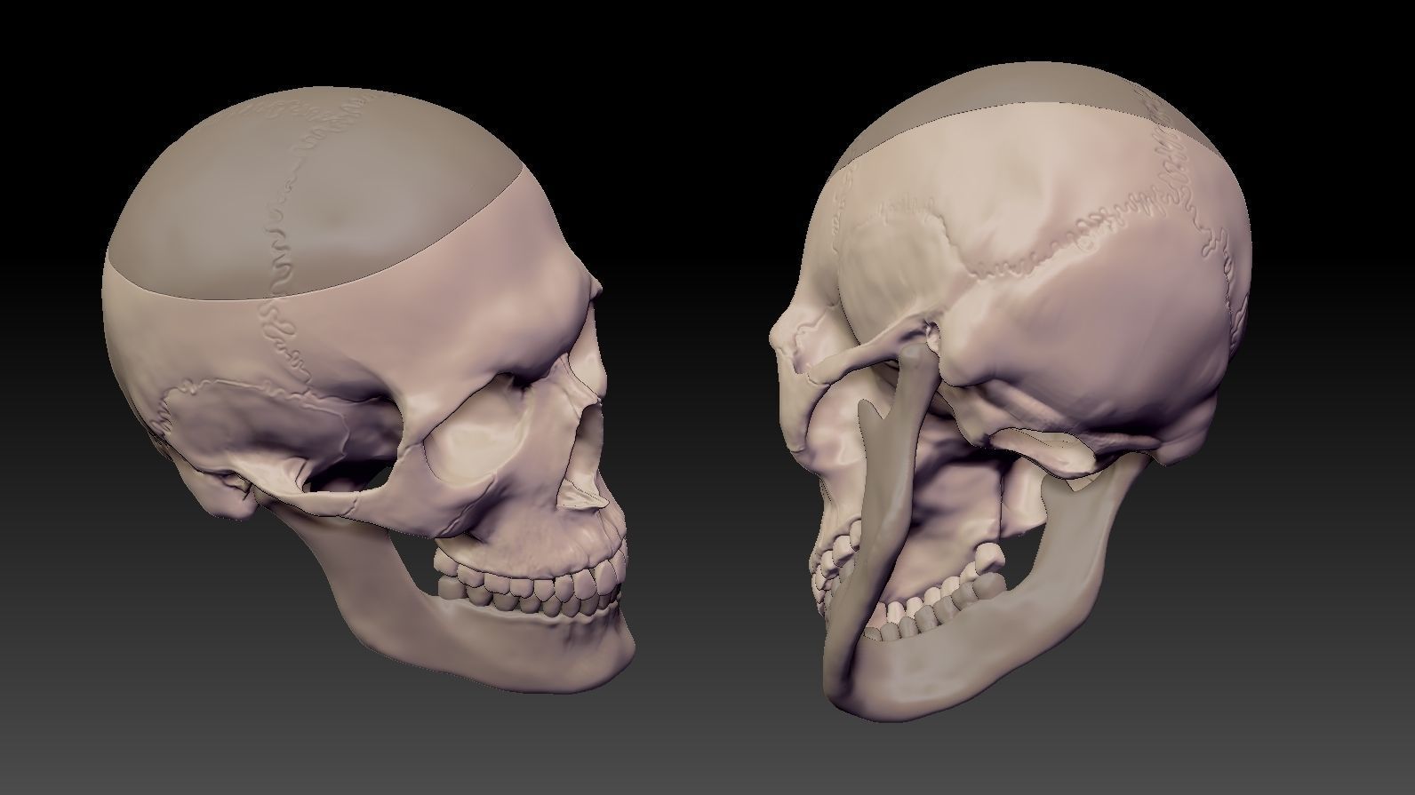 Skull 3d Print model human 3D print model_24