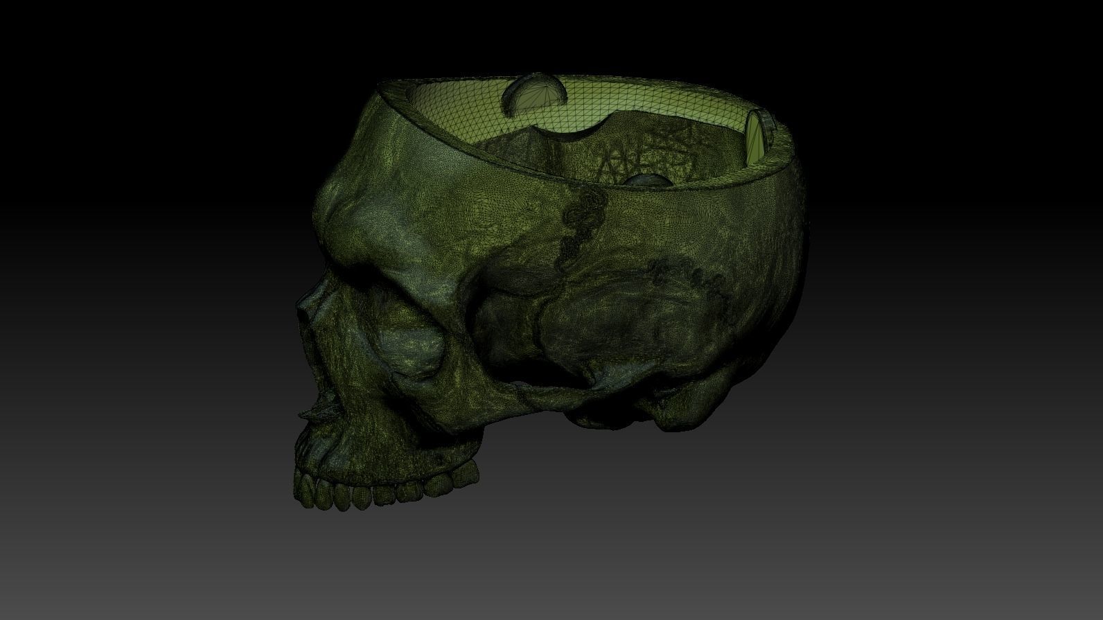 Skull 3d Print model human 3D print model_23
