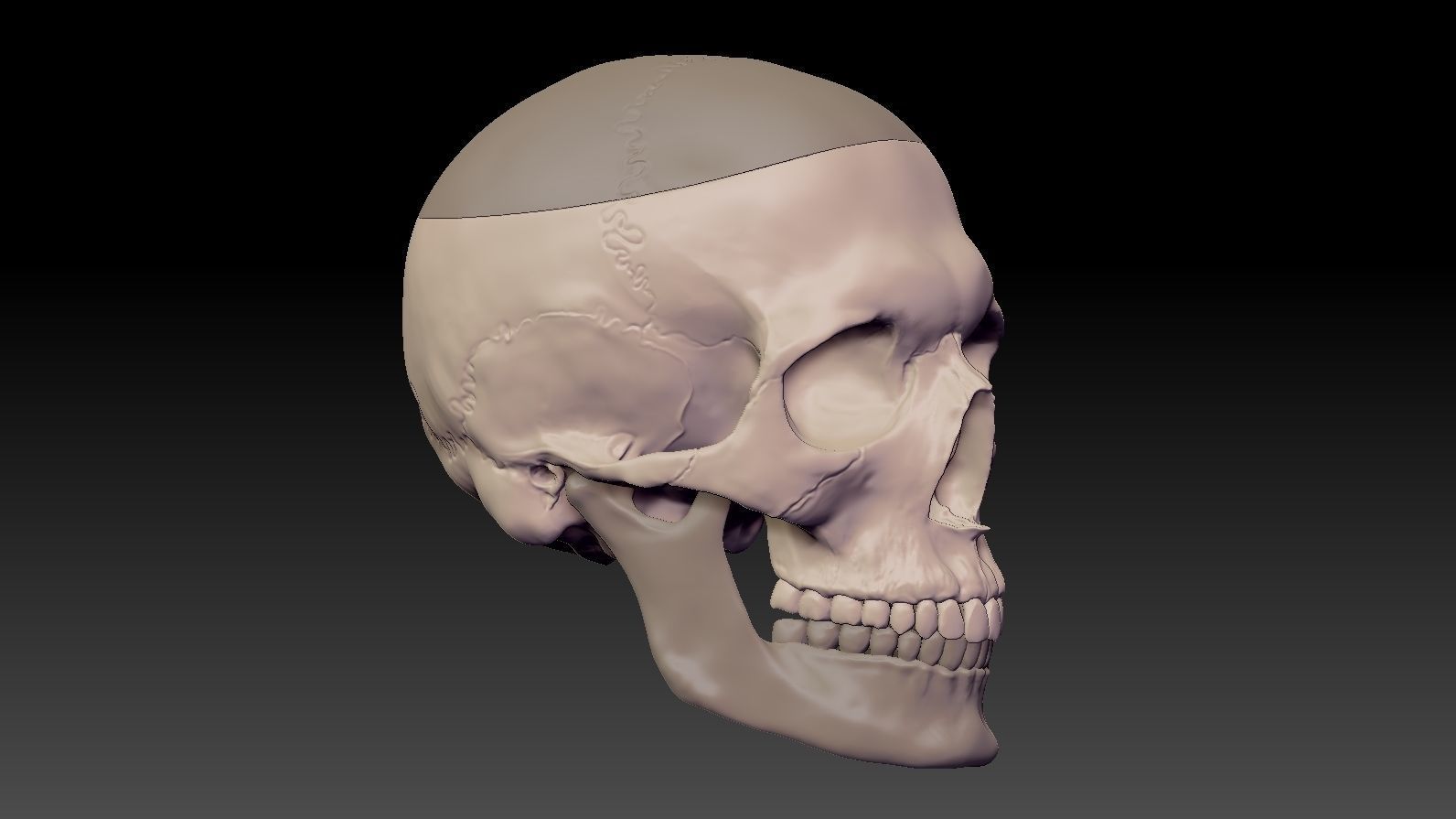 Skull 3d Print model human 3D print model_32