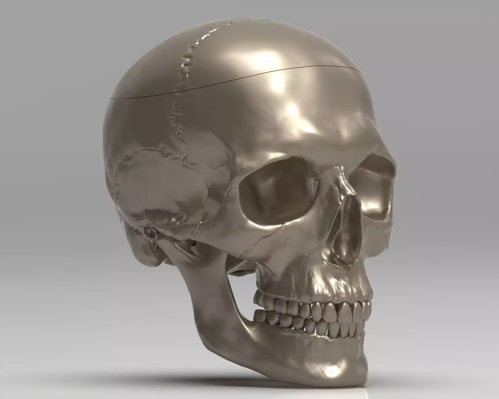 Skull 3d Print model human 3D print model_0