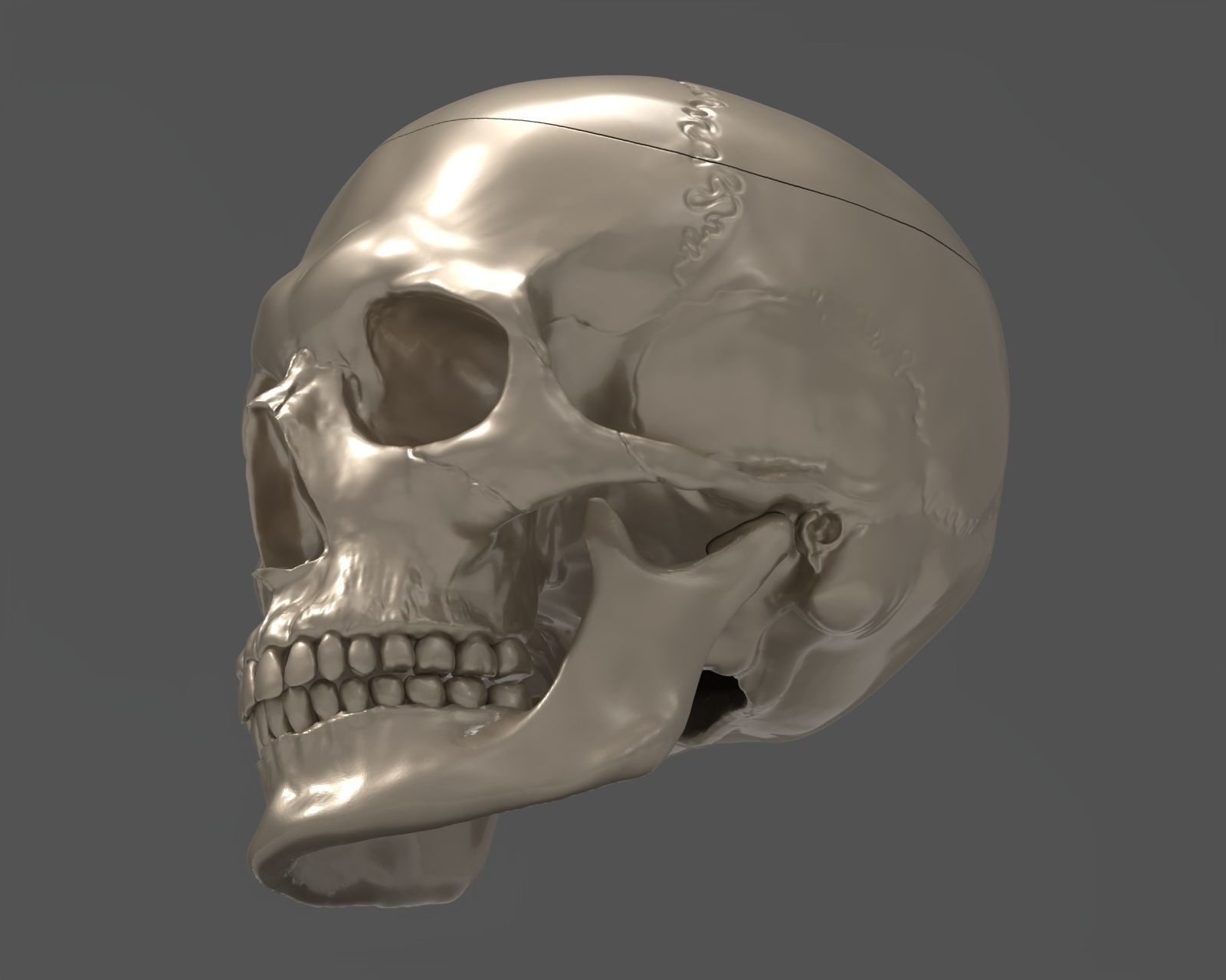 Skull 3d Print model human 3D print model_39