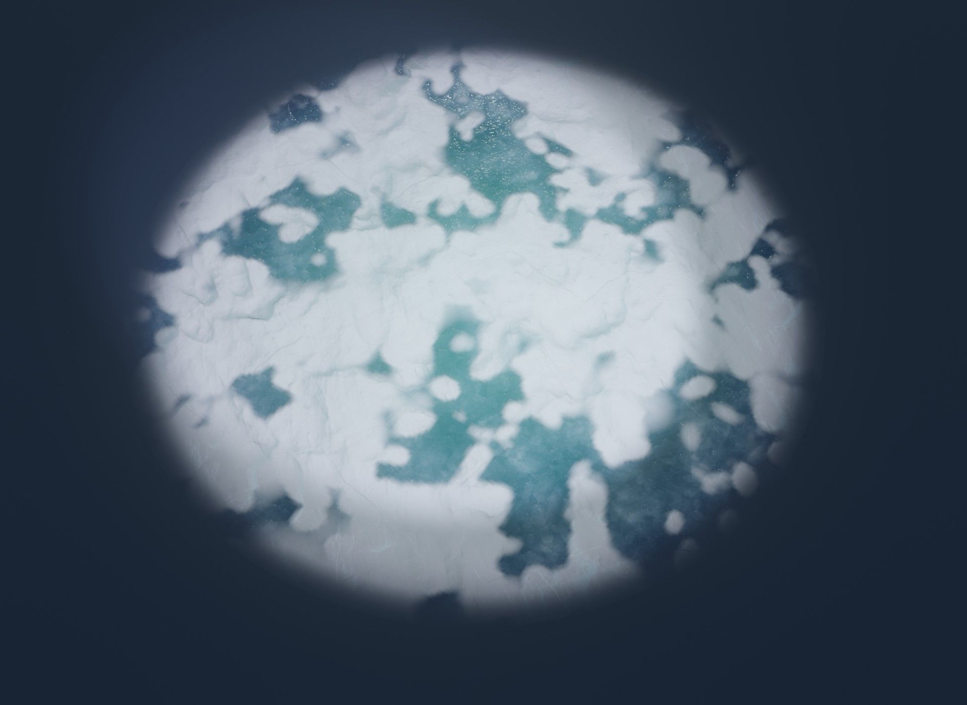 Animated Cartoon Animals Mega Pack Low-poly 3D model_118