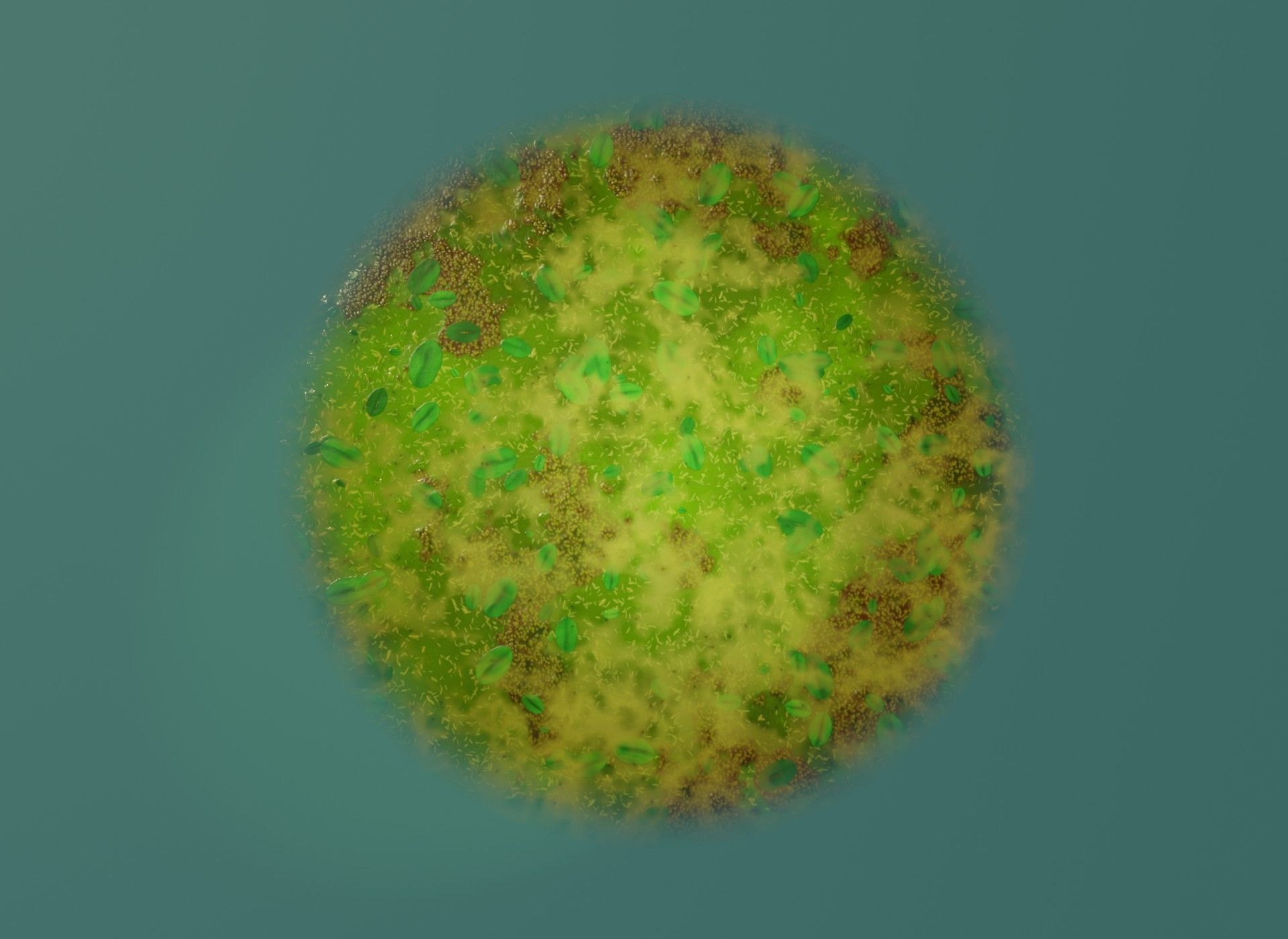 Animated Cartoon Animals Mega Pack Low-poly 3D model_103