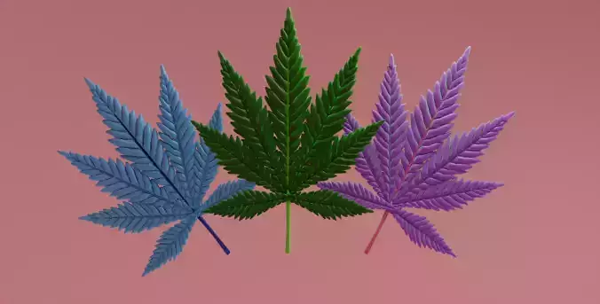 Cannabis leaf