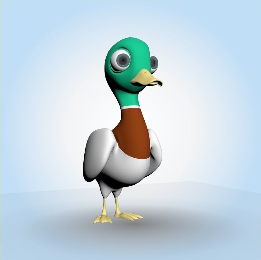 Mallard Duck 3D model_6