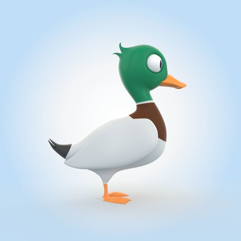 Mallard Duck 3D model_1