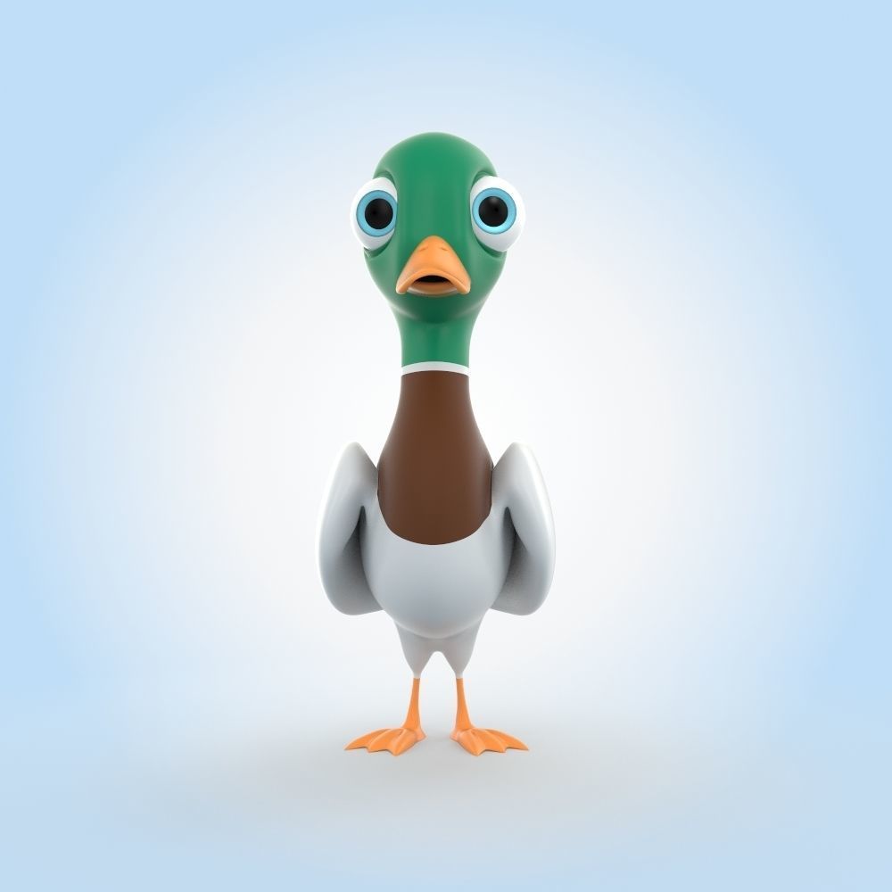 Mallard Duck 3D model_4