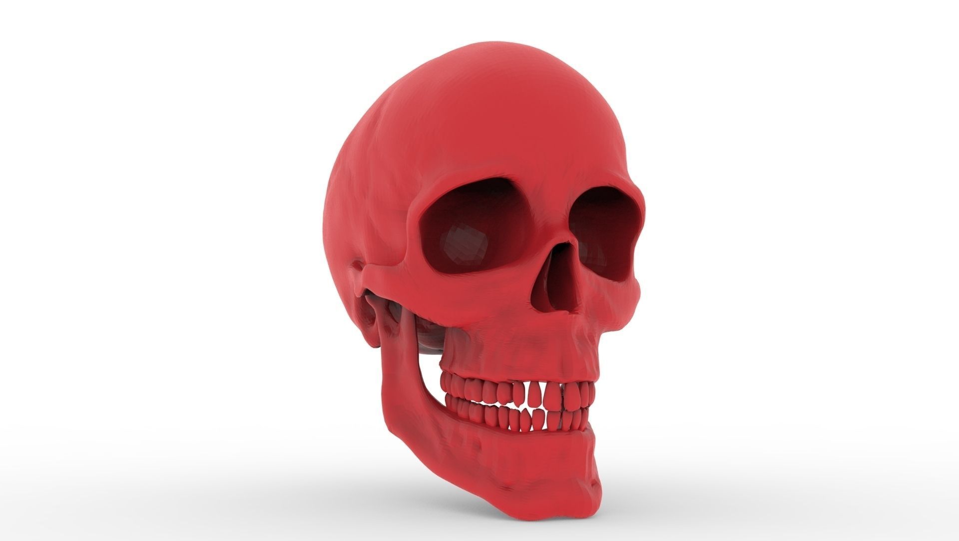 free human 3d download teeth model CGTrader.com 3D  .obj printable .stl Model Skull  3D
